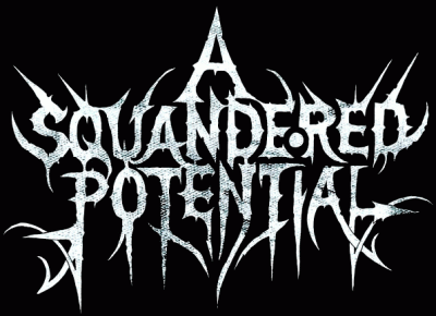 logo A Squandered Potential